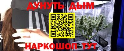 шишки Татарск