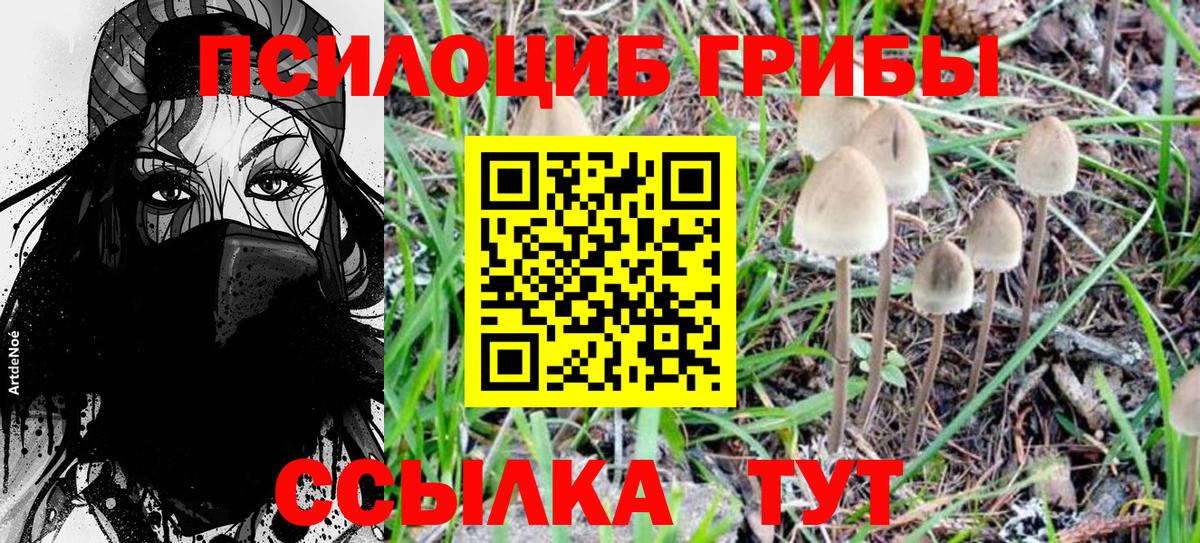 Галлюциногенные грибы MAGIC MUSHROOMS Муром